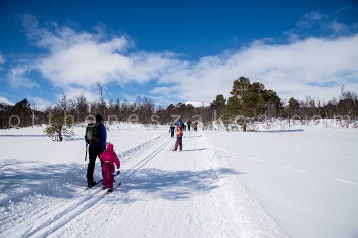 Husveti cross-country skiing