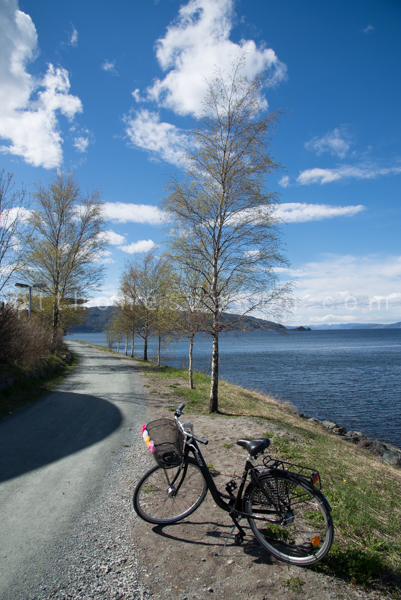 Kedvenc biciklis szakaszom, a Ladestien