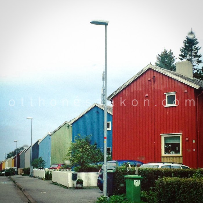 12076914_10206943068709540_503969540_n