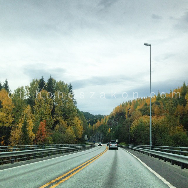 1390131_724419387646152_111931455_n