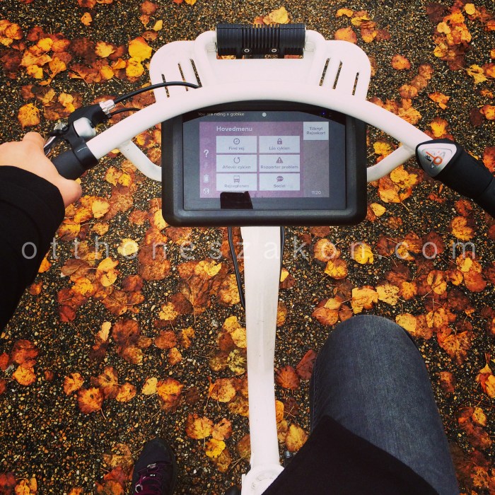 Photo 18.10.14, 11.20.18