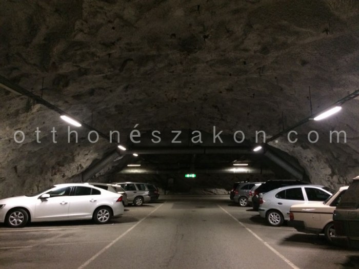 12207627_10207067414018095_783428341_n