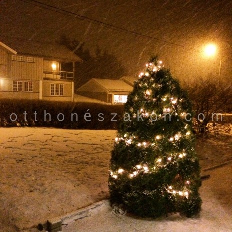 2014-12-25 17.47.22-1-2