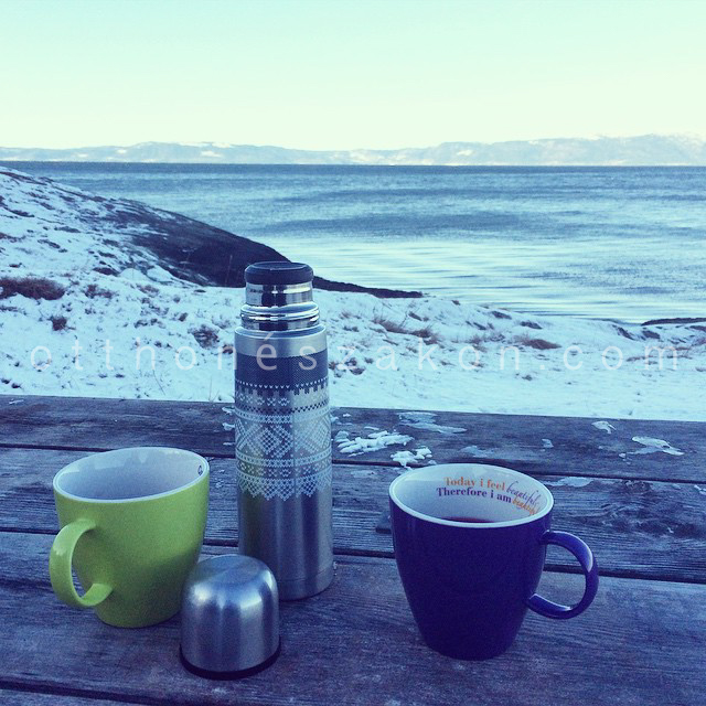 10956813_1393149277662659_184595396_n-2