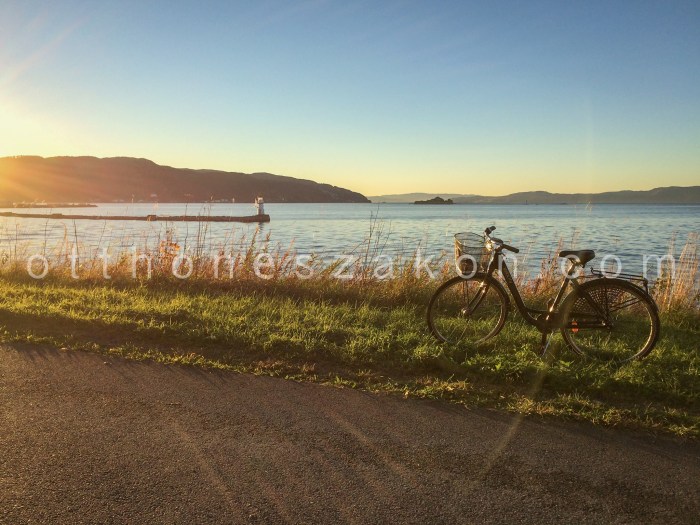 10714245_10204256194859373_6348139934974653050_o-2