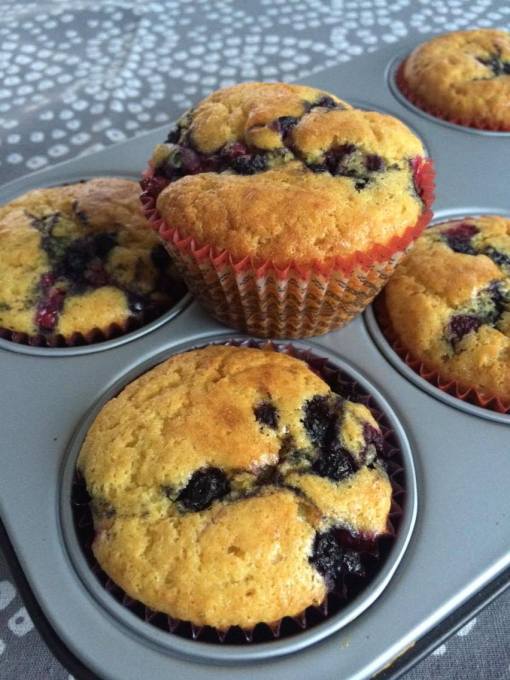 12255191_10207902870263979_173072896_o