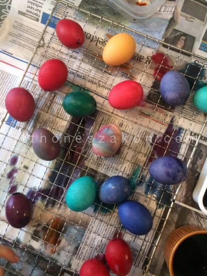 12887499_10208047097189562_225980453_o-2