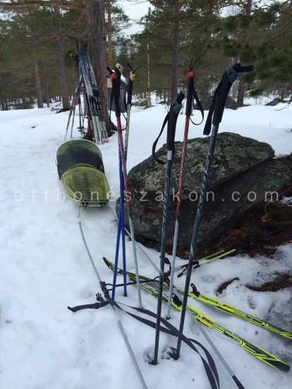 12894290_10208047097069559_91100642_o-2