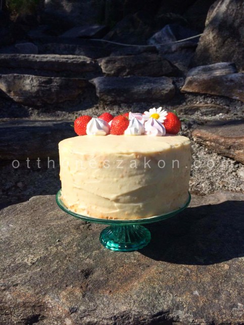 13383725_10208616750030527_459747883_o-2