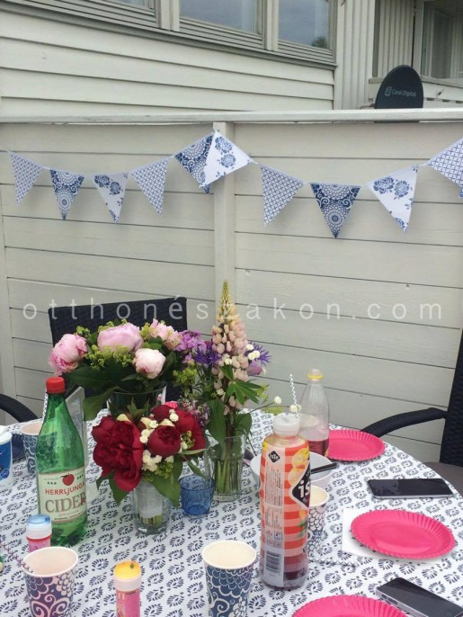 13493698_10208736885713844_650371857_o