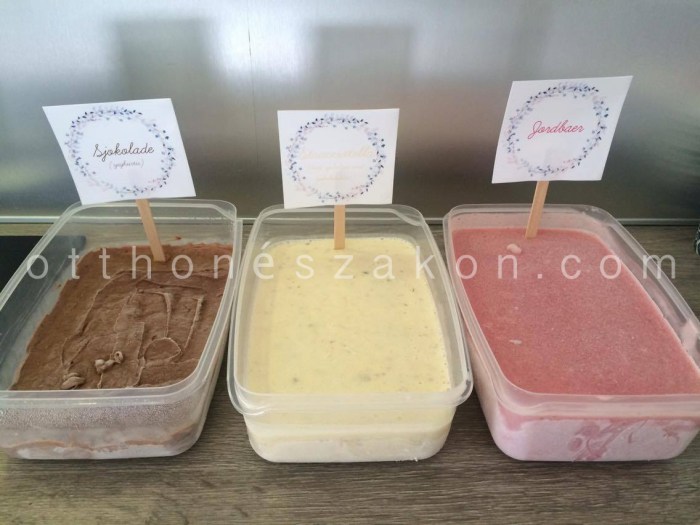 13499779_10208736885593841_2021467623_o