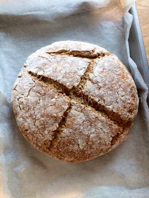 14079897_10209238772980712_8682016796075941107_n-2