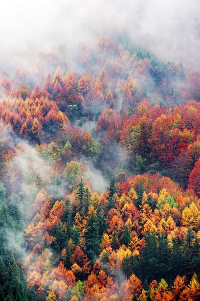 a13410aab6694e67e7c75789a8bc95f6